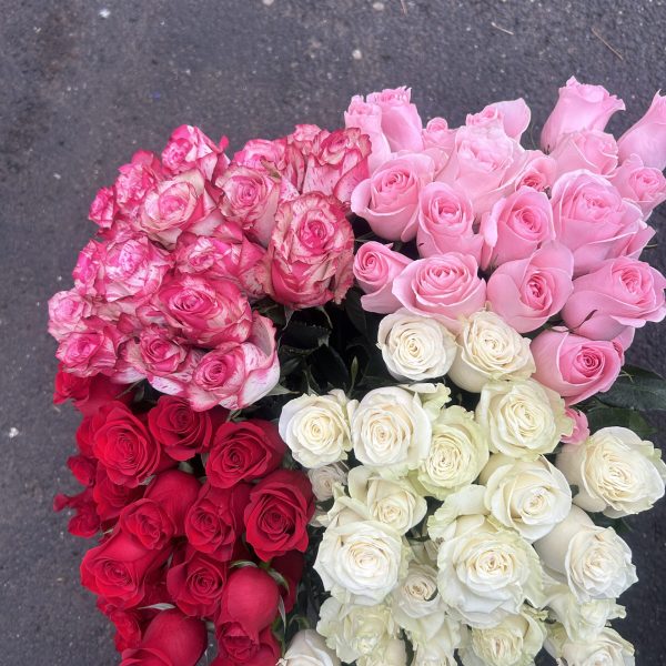 image00010